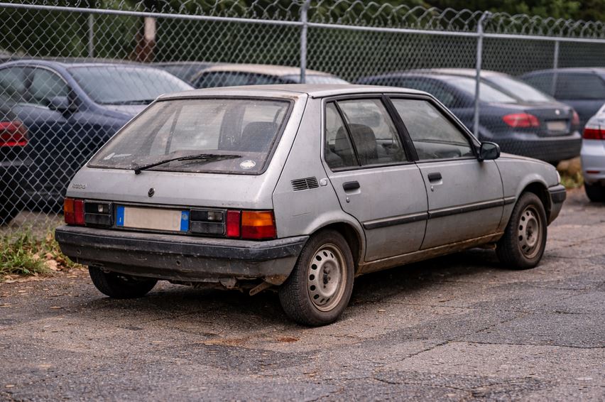 Fourrière à Fort-de-France